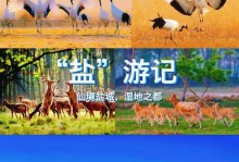 《仙鹤最强出装攻略》（成就无敌之飞翔如鹤的神装策略）