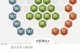 打造无敌辅助，张大仙助力你登顶王者！（打造无敌辅助，张大仙助力你登顶王者！）