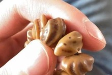 最简单的推塔方式是什么？（以游戏为主，轻松推塔攻略）