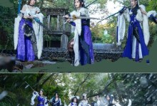 剑三鲸鱼新手攻略（一文带你了解剑三鲸鱼新手攻略，助你成为顶尖强者）