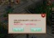 《问道手游沙巴克攻略大揭秘》（全面解析最新攻略技巧，让你成为沙巴克之王）