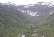 《迷雾之岭》第20关攻略（突破困局，一步到位）
