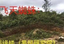 飞天蜘蛛出装攻略（打造飞天蜘蛛无敌阵容，快速击败对手）