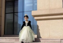 《安娜公主出装攻略大全》（华丽服饰与魅力技巧，打造完美安娜公主风格）
