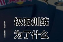 追逐极限（突破自我，创造奇迹的极限运动攻略）