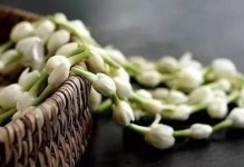 《夏风龙马攻略心得分享》（揭秘攻略夏风龙马，助你成为最强选手！）