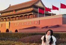 以长城弑神中阶攻略（手把手教你掌握游戏关键技巧，成为顶级战士）