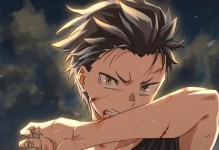 《绝望之盾出装顺序攻略》（掌握最佳出装顺序，打造无敌坦克！）