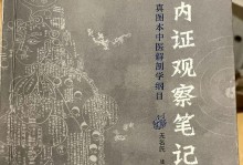 《如梦之境法师技能选择攻略》（掌握关键技能，成为无敌法师！）