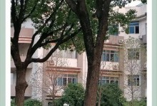 打造华丽种植园的实用攻略（华夏人生种植园工具使用大全）