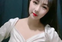 瞬杀流狼狗出装攻略（玩转瞬杀流狼狗，掌握关键装备与技巧）