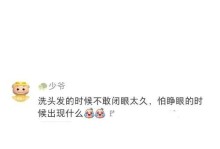 神龙尊者飞天蜘蛛出装攻略（打造无敌飞行阵容，尽显王者本色）