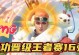 本源魂环技能测试攻略（揭秘本源魂环技能测试的关键策略与技巧）