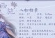 小笨蛋最强出装攻略大全（带你玩转小笨蛋，瞬间逆袭对手）
