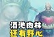 赵云囤兵模式下的出装攻略（打造最强赵云！走进囤兵之道）